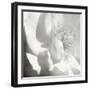 BW Rose Sq I-Alan Hausenflock-Framed Photographic Print