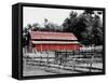 BW Rustic Barn-Gail Peck-Framed Stretched Canvas