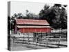 BW Rustic Barn-Gail Peck-Stretched Canvas
