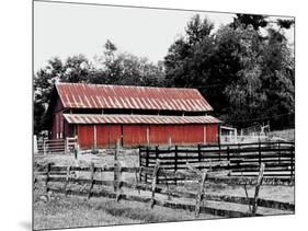 BW Rustic Barn-Gail Peck-Mounted Art Print