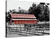 BW Rustic Barn-Gail Peck-Stretched Canvas
