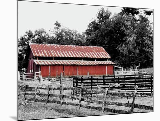 BW Rustic Barn-Gail Peck-Mounted Art Print