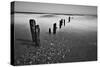 BW Seascape 4-Tom Quartermaine-Stretched Canvas