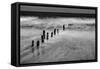 BW Seascape-Tom Quartermaine-Framed Stretched Canvas