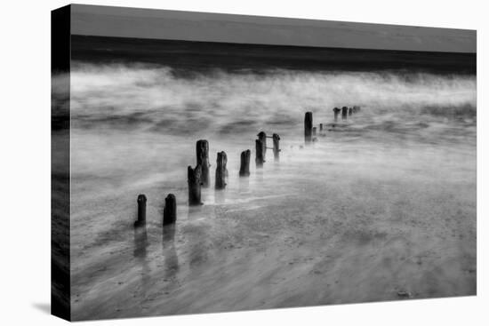 BW Seascape-Tom Quartermaine-Stretched Canvas