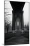 BW St. Johns Arches VI-Erin Berzel-Mounted Photographic Print