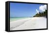 Bwejuu Beach, Zanzibar, Tanzania, East Africa, Africa-Peter Richardson-Framed Stretched Canvas