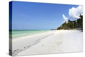 Bwejuu Beach, Zanzibar, Tanzania, East Africa, Africa-Peter Richardson-Stretched Canvas