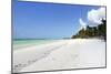 Bwejuu Beach, Zanzibar, Tanzania, East Africa, Africa-Peter Richardson-Mounted Photographic Print