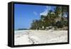 Bwejuu Beach, Zanzibar, Tanzania, East Africa, Africa-Peter Richardson-Framed Stretched Canvas