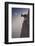 By a Bouquet of Flowers-Renato J. López-Framed Photographic Print