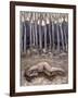 By a Wood 1, 2007-Evelyn Williams-Framed Giclee Print
