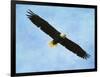 By His Grace Bald Eagle-Jai Johnson-Framed Giclee Print