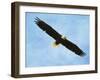 By His Grace Bald Eagle-Jai Johnson-Framed Giclee Print