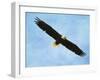 By His Grace Bald Eagle-Jai Johnson-Framed Giclee Print