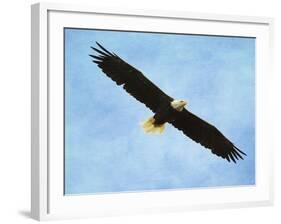 By His Grace Bald Eagle-Jai Johnson-Framed Giclee Print