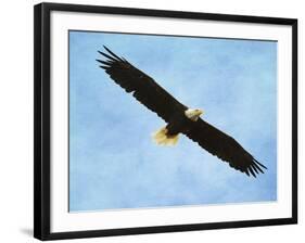 By His Grace Bald Eagle-Jai Johnson-Framed Giclee Print