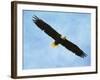 By His Grace Bald Eagle-Jai Johnson-Framed Giclee Print