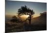 By Table Mountain-Valda Bailey-Mounted Photographic Print