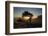 By Table Mountain-Valda Bailey-Framed Photographic Print