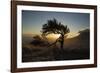 By Table Mountain-Valda Bailey-Framed Photographic Print