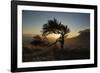 By Table Mountain-Valda Bailey-Framed Photographic Print