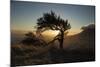 By Table Mountain-Valda Bailey-Mounted Photographic Print