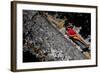 By The Church-Sebastian Black-Framed Photo