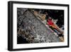 By The Church-Sebastian Black-Framed Photo