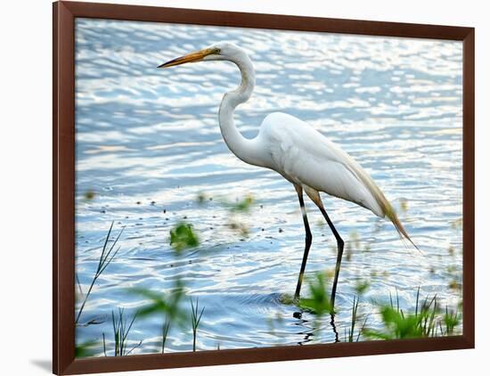 By the Lake Egret-Bruce Nawrocke-Framed Art Print