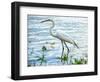 By the Lake Egret-Bruce Nawrocke-Framed Art Print