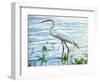 By the Lake Egret-Bruce Nawrocke-Framed Art Print