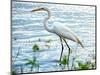 By the Lake Egret-Bruce Nawrocke-Mounted Art Print