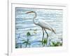 By the Lake Egret-Bruce Nawrocke-Framed Art Print