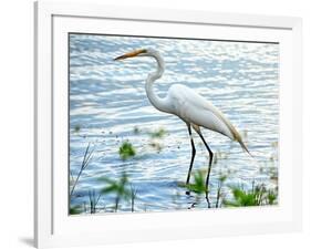 By the Lake Egret-Bruce Nawrocke-Framed Art Print