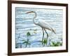 By the Lake Egret-Bruce Nawrocke-Framed Art Print