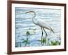 By the Lake Egret-Bruce Nawrocke-Framed Art Print