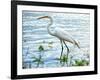 By the Lake Egret-Bruce Nawrocke-Framed Art Print