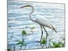 By the Lake Egret-Bruce Nawrocke-Mounted Art Print