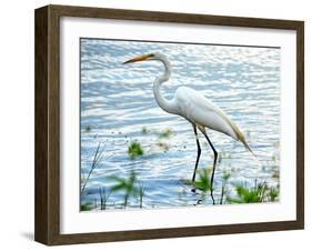 By the Lake Egret-Bruce Nawrocke-Framed Art Print