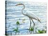By the Lake Egret-Bruce Nawrocke-Stretched Canvas