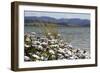 By The Lakeside-Incredi-Framed Giclee Print