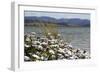 By The Lakeside-Incredi-Framed Giclee Print