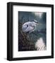 By the Marsh - Blue Heron-Russell Cobane-Framed Art Print