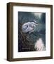 By the Marsh - Blue Heron-Russell Cobane-Framed Art Print