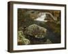 By the Mill Pond-Hans Gude-Framed Giclee Print