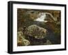 By the Mill Pond-Hans Gude-Framed Giclee Print