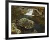 By the Mill Pond-Hans Gude-Framed Giclee Print