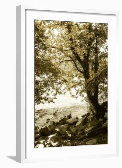 By the River Wide I-Alan Hausenflock-Framed Photographic Print