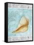 By the Sea 2-Megan Aroon Duncanson-Framed Stretched Canvas